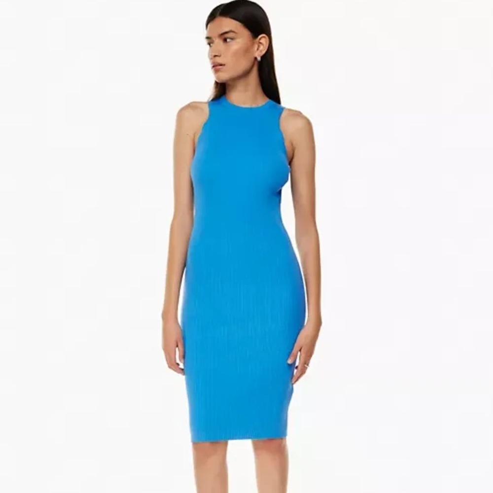 NWOT Aritzia Dress